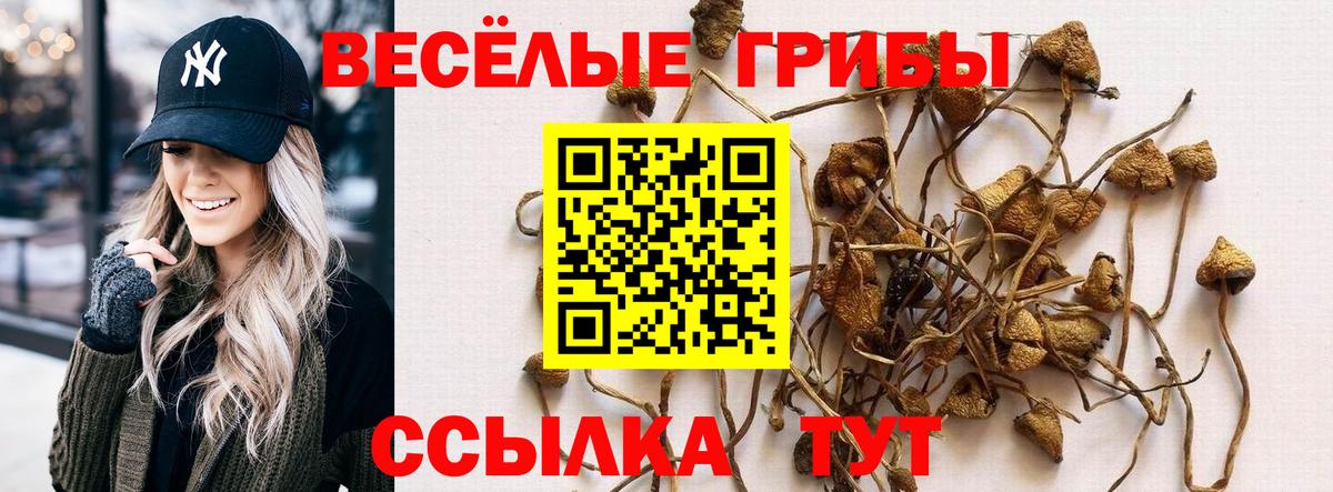 Псилоцибиновые грибы Cubensis  Вход с VPN  Псилоцибиновые грибы Psilocybine cubensis  купить закладку  Ижевск 